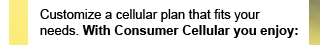 Customize a cellular plan that fits your needs. With Consumer Cellular you enjoy: