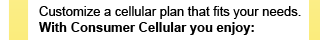 Customize a cellular plan that fits your needs. With Consumer Cellular you enjoy:
