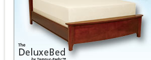 The DeluxeBed by Tempur-Pedic™