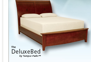 The DeluxeBed by Tempur-Pedic™
