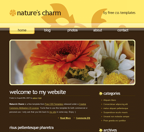 Preview Image of the Template