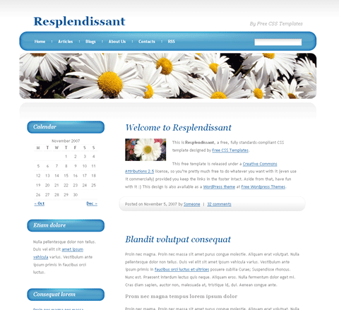 Preview Image of the Template
