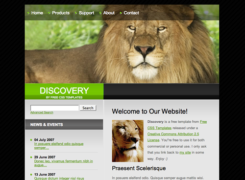 Preview Image of the Template