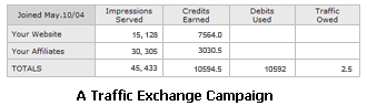 Image displays a sample of Bravenet Traffic Exchange