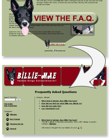 Image displays a sample of Bravenet FAQ
