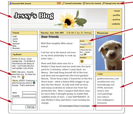Image displays a sample of Bravenet Mini Poll
