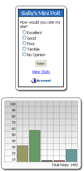 Image displays a sample of Bravenet Web Poll