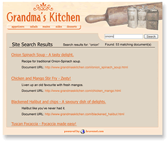 Image displays a sample of Bravenet Site Search