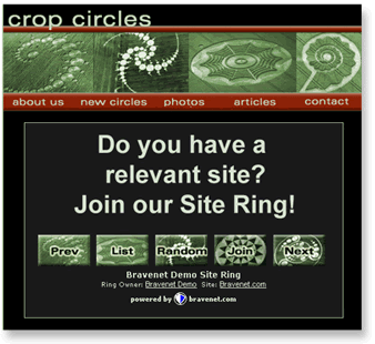 Image displays a sample of Bravenet Web Ring