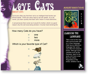 Image displays a sample of Bravenet Vote Caster