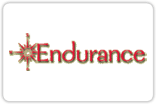 endurance international