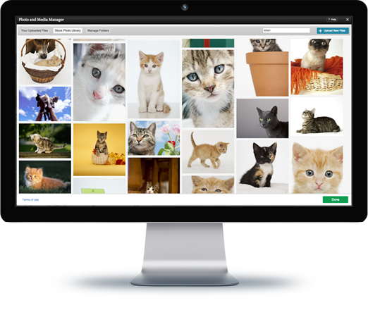 Bravenet Blogs include access to Stock Photos and Fonts